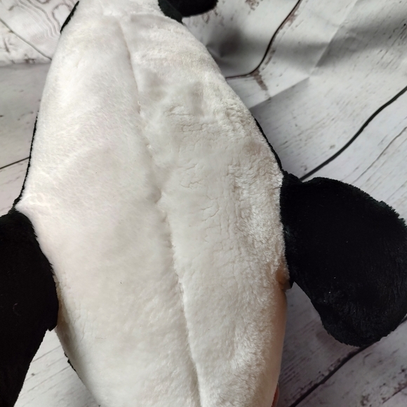 Sea world orca whale killer whale - Picture 4 of 5